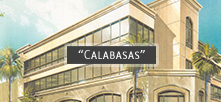 Calabasas Project